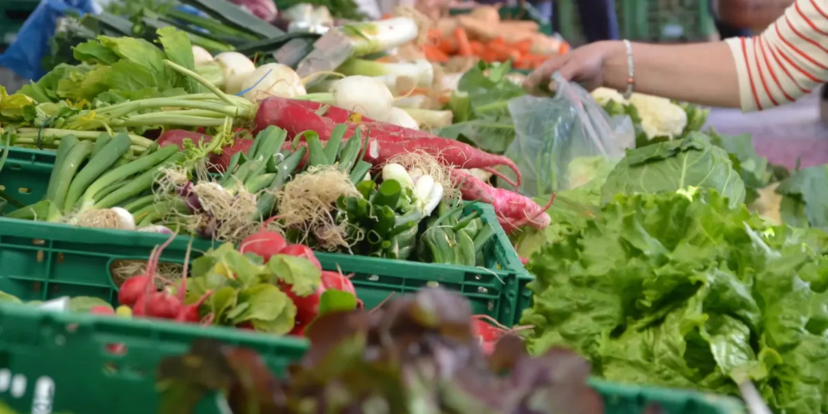 Légumes frais sur l'étal du marché des producteurs de La Maison du Manège