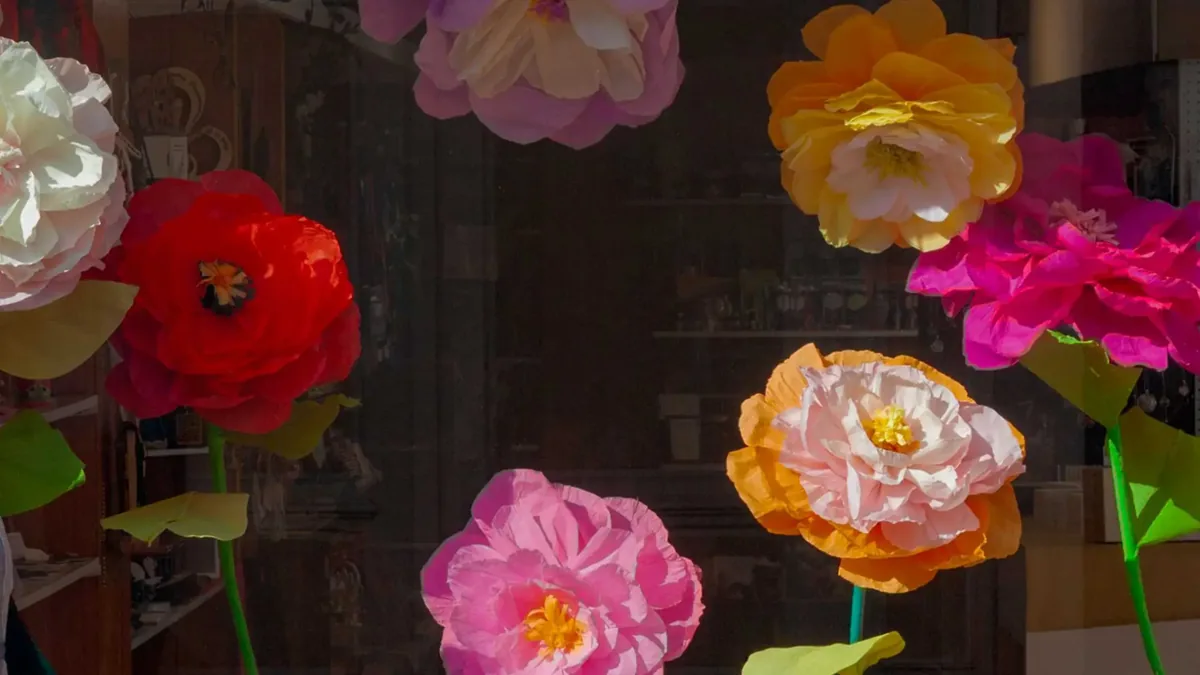 Vitrine fleurie de l'anniversaire de La Maison du Manège